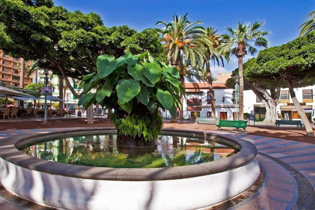 Centrico, Comodo Y Bello Apto En Puerto De La Cruz Esterno foto